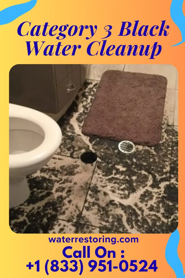 Category 3 Black Water Cleanup in Tyler Run, PA