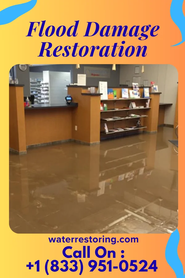 Flood Damage Restoration in Tyler Run, PA