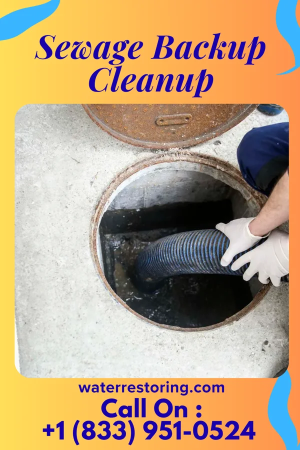 Sewage Backup Cleanup in Tyler Run, PA