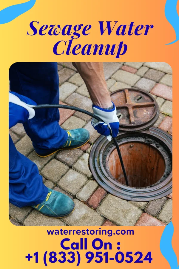 Sewage Water Cleanup in Tyler Run, PA
